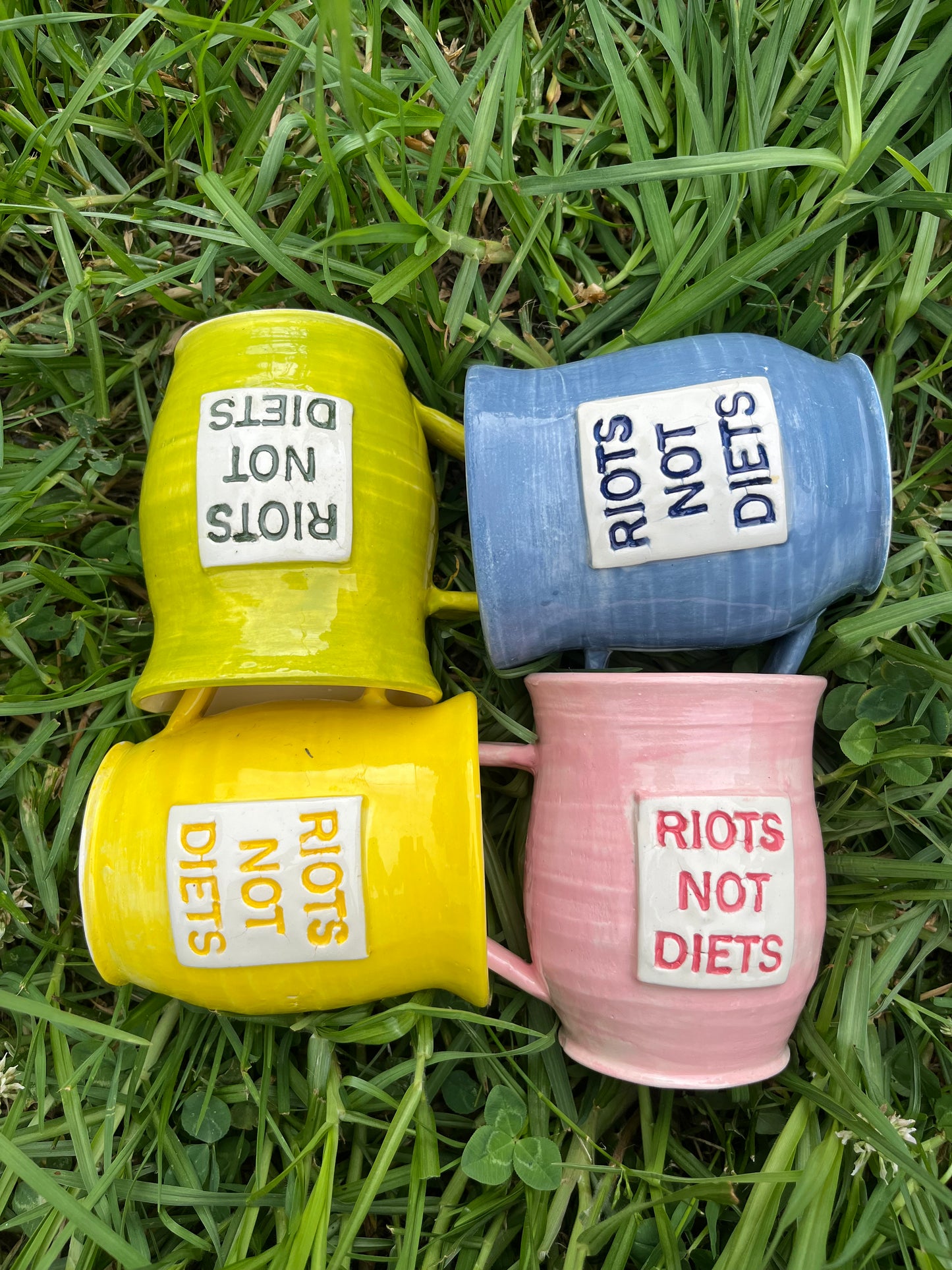 Riots not Diets mug