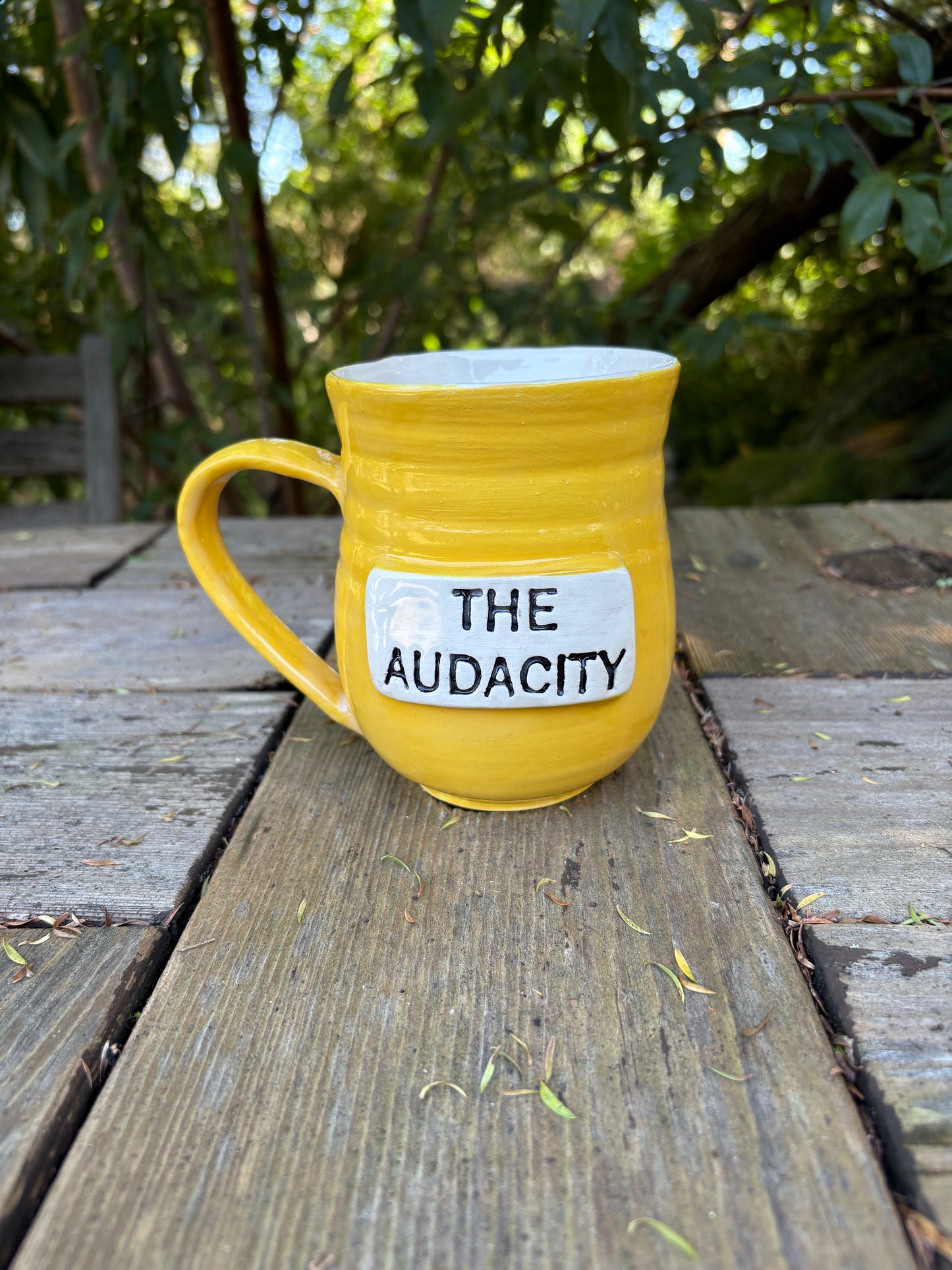 The Audacity Mug