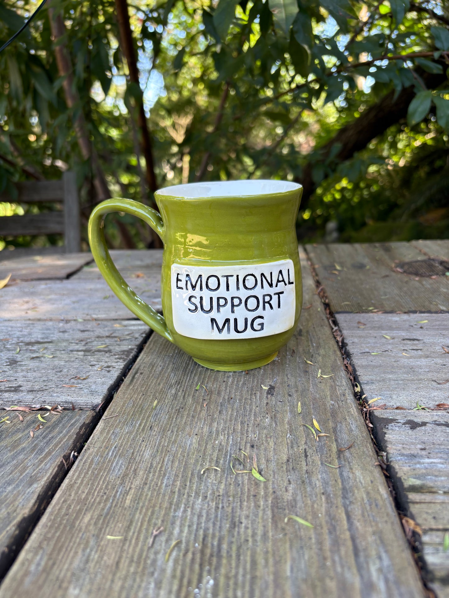 Emotional Support Mug