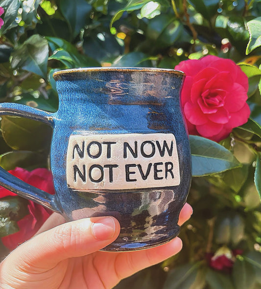 Not Now Not Ever