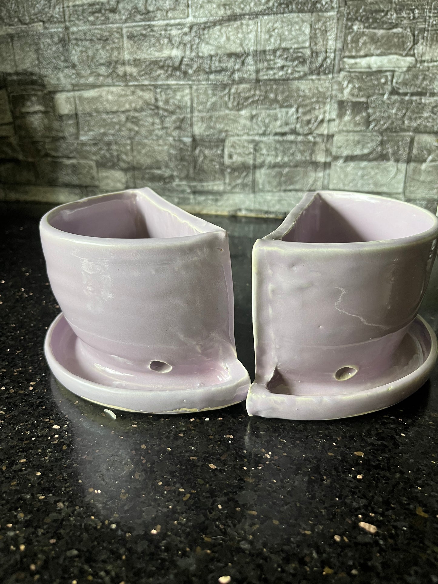 Purple bookend planter