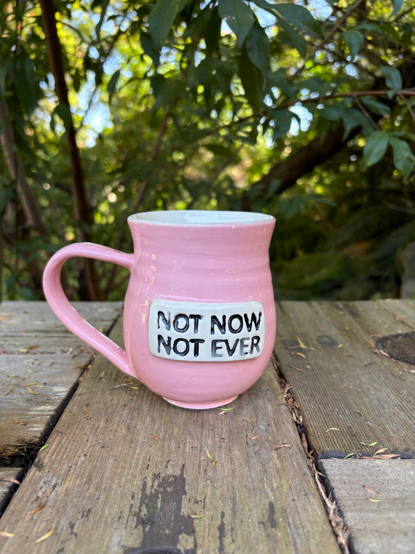 Not Now Not Ever