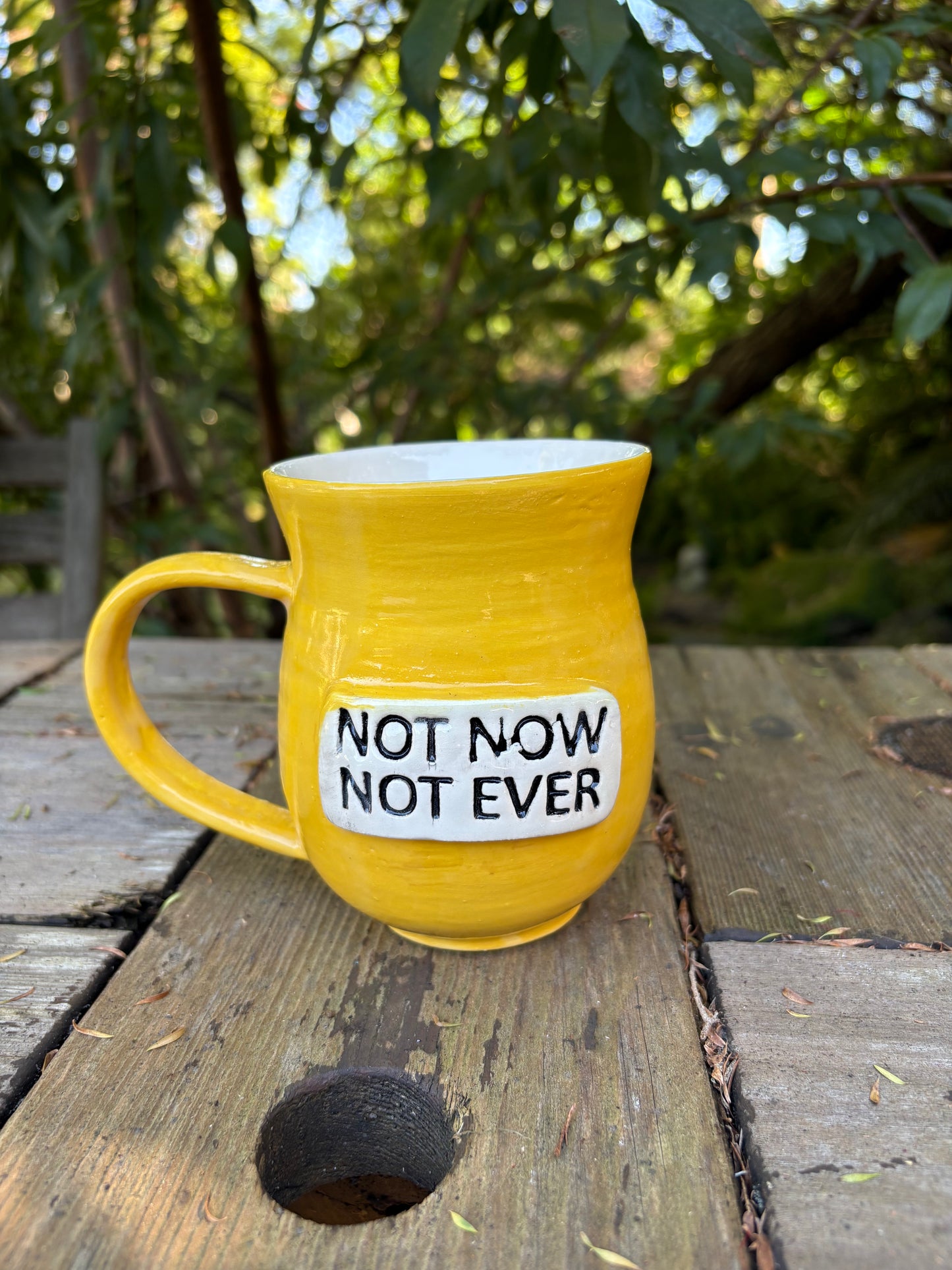 Not Now Not Ever