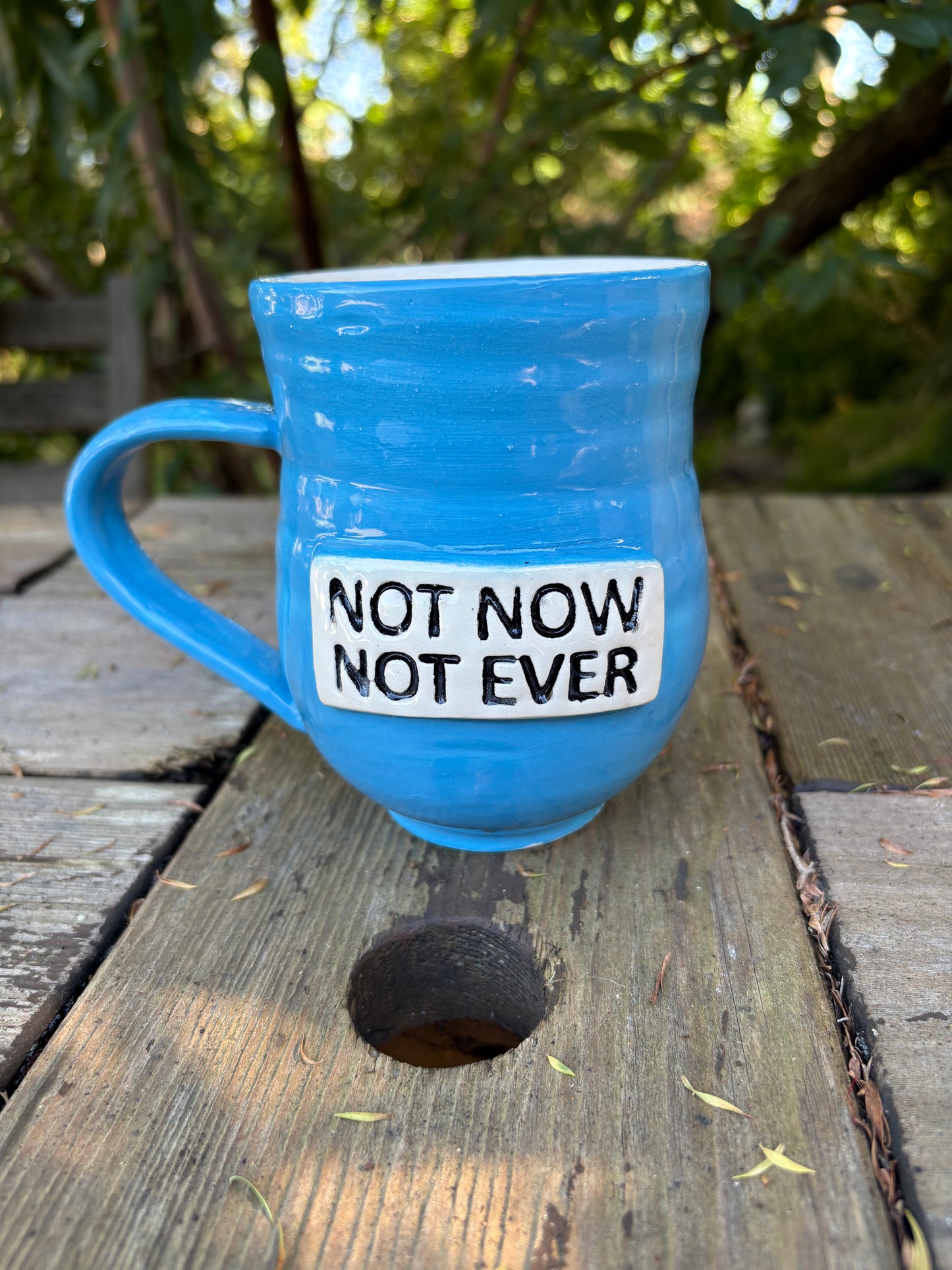 Not Now Not Ever