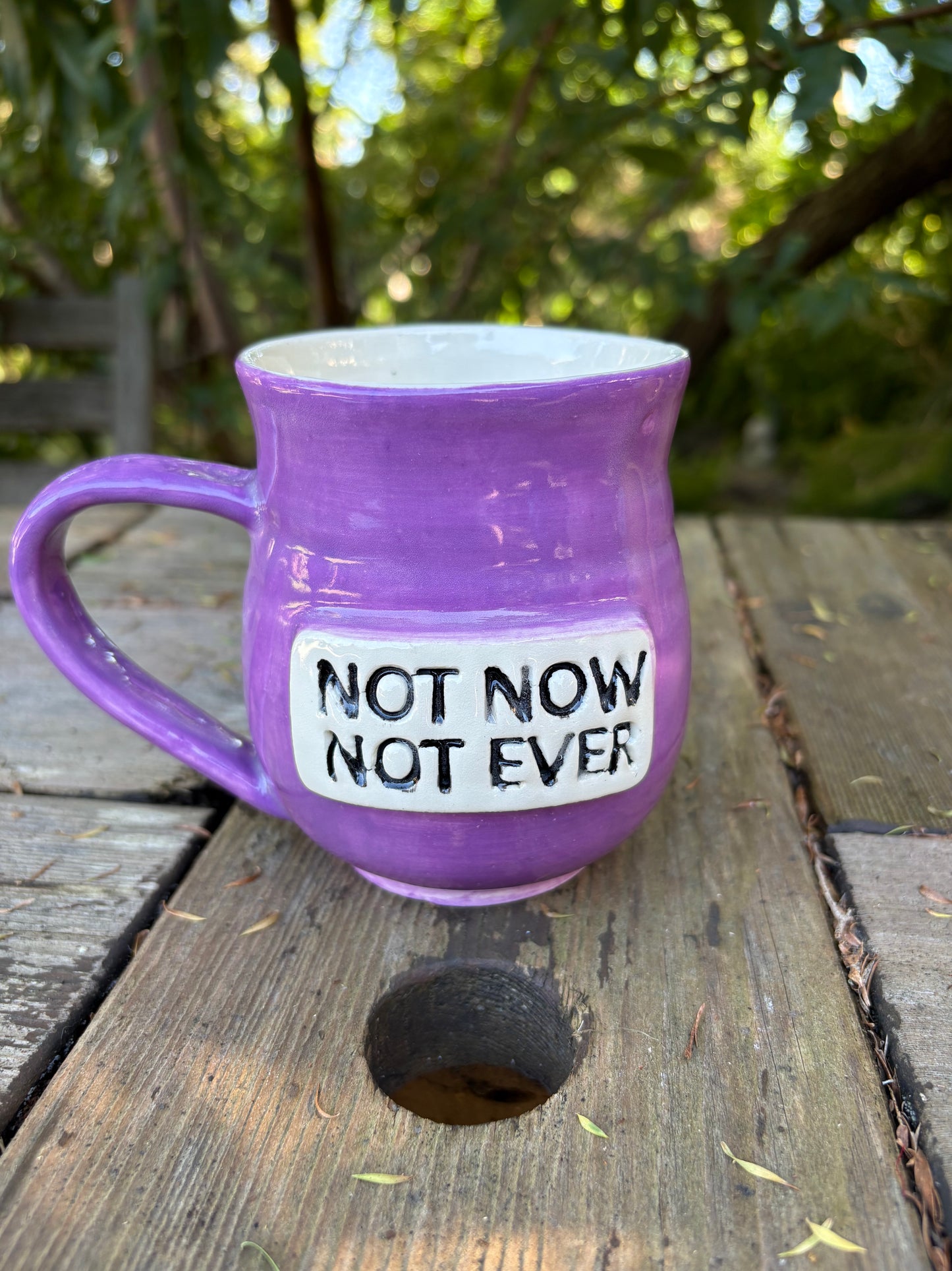 Not Now Not Ever