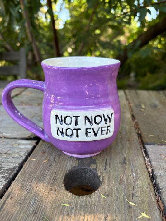 Not Now Not Ever