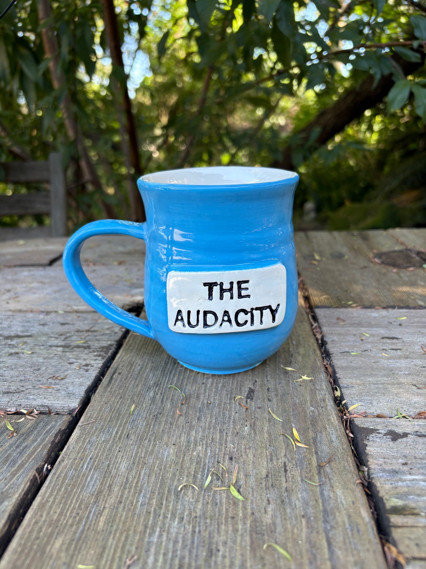 The Audacity Mug