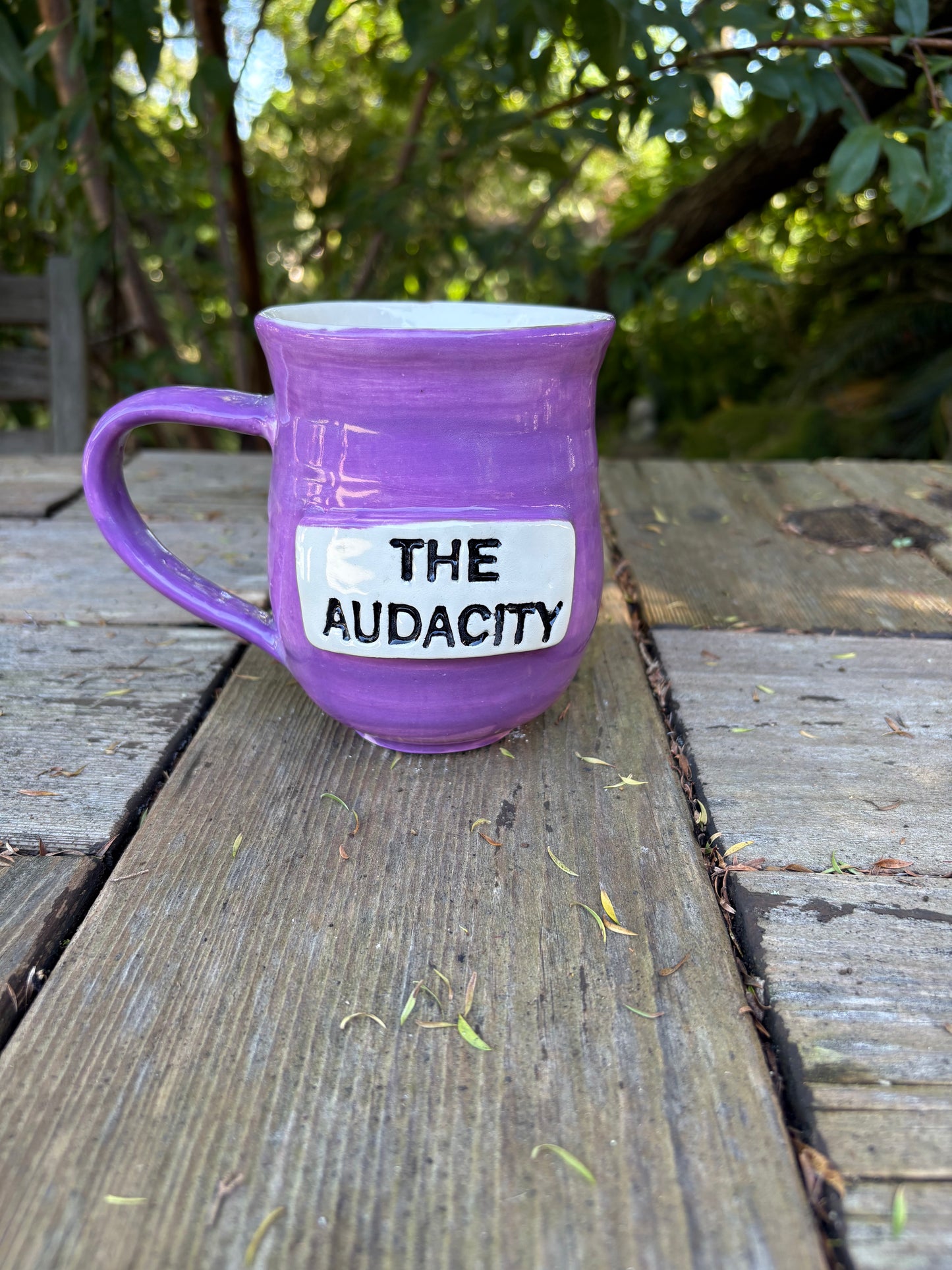 The Audacity Mug
