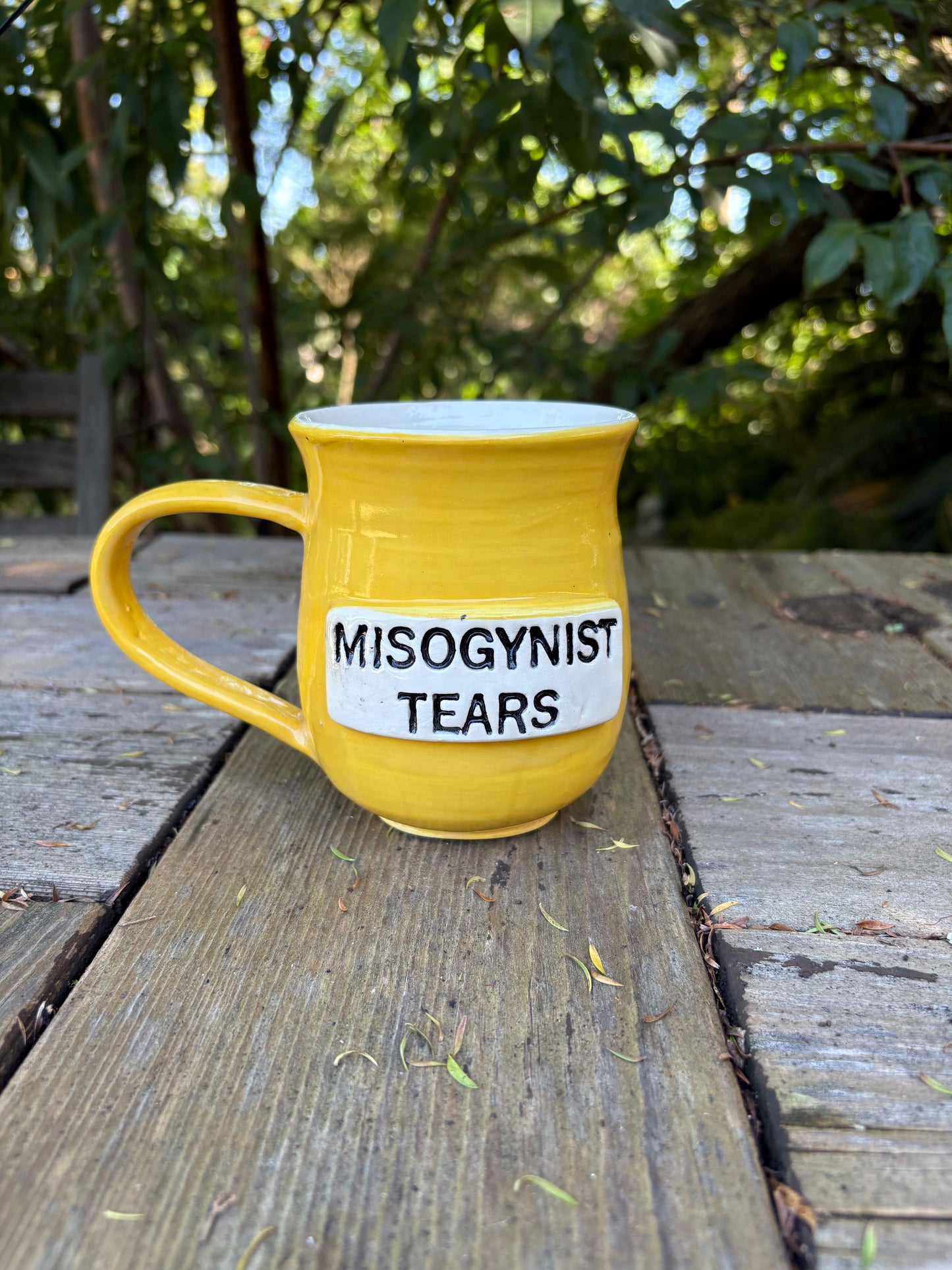 Misogynist Tears Mug