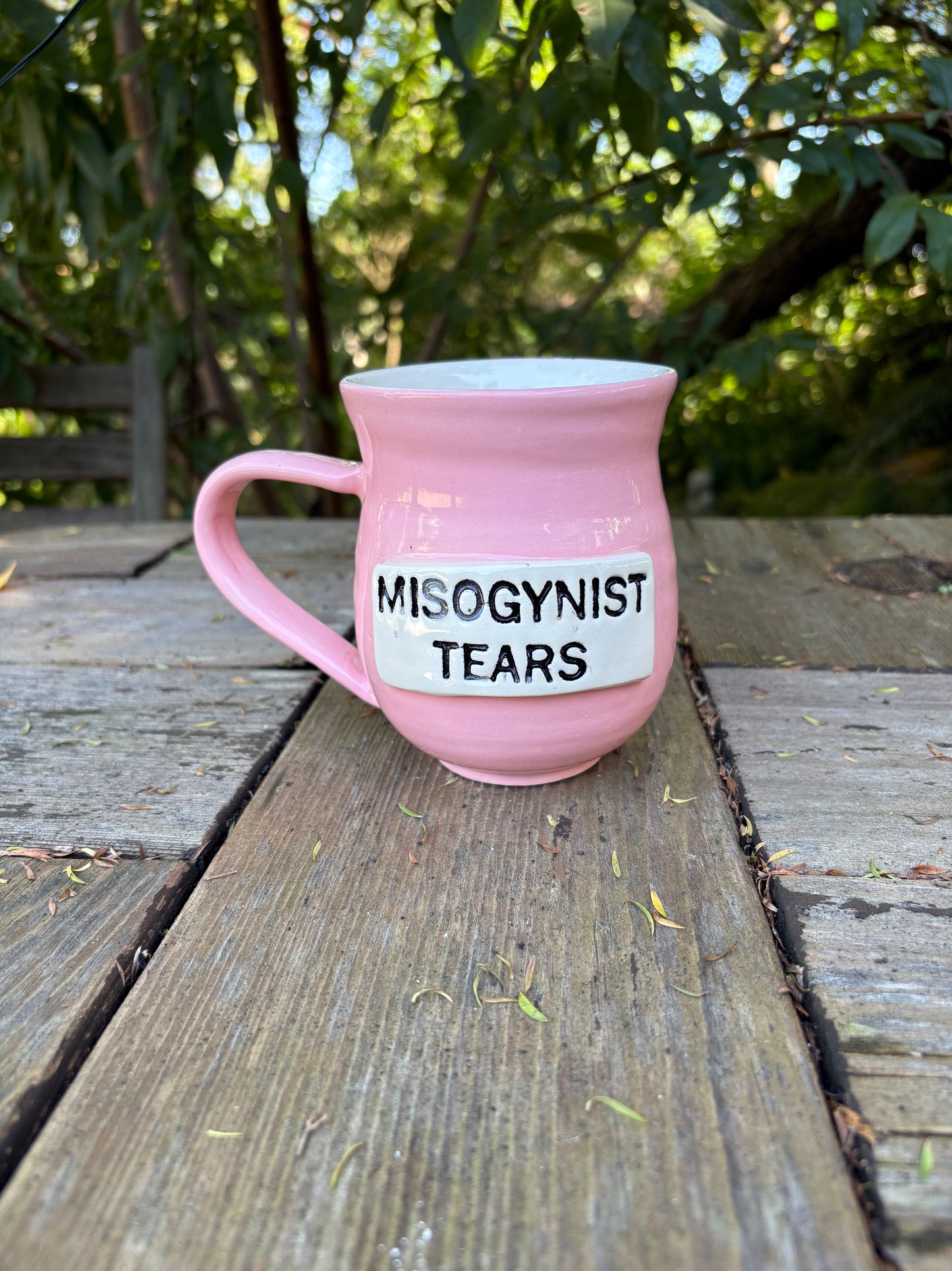 Misogynist Tears Mug