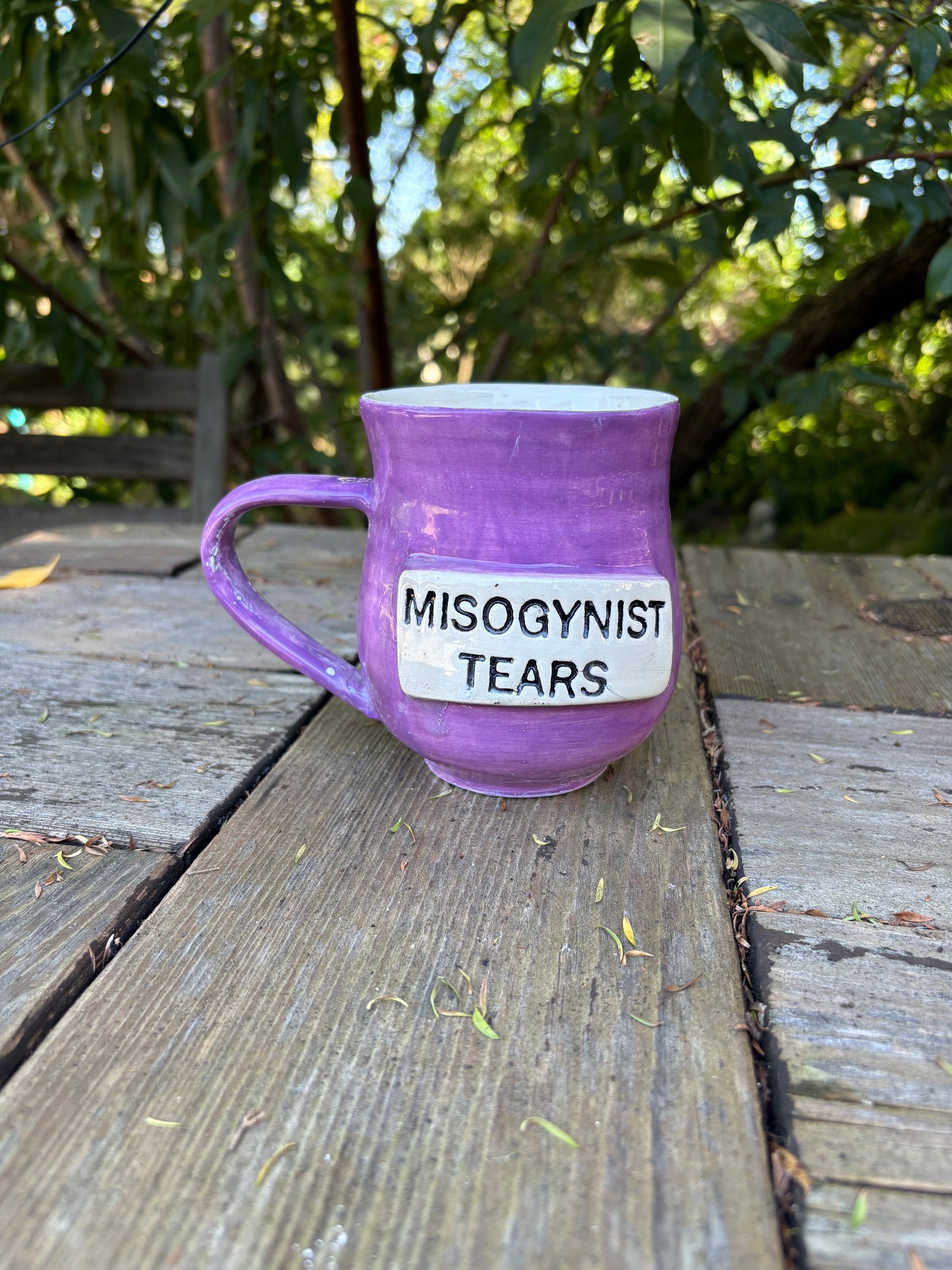 Misogynist Tears Mug
