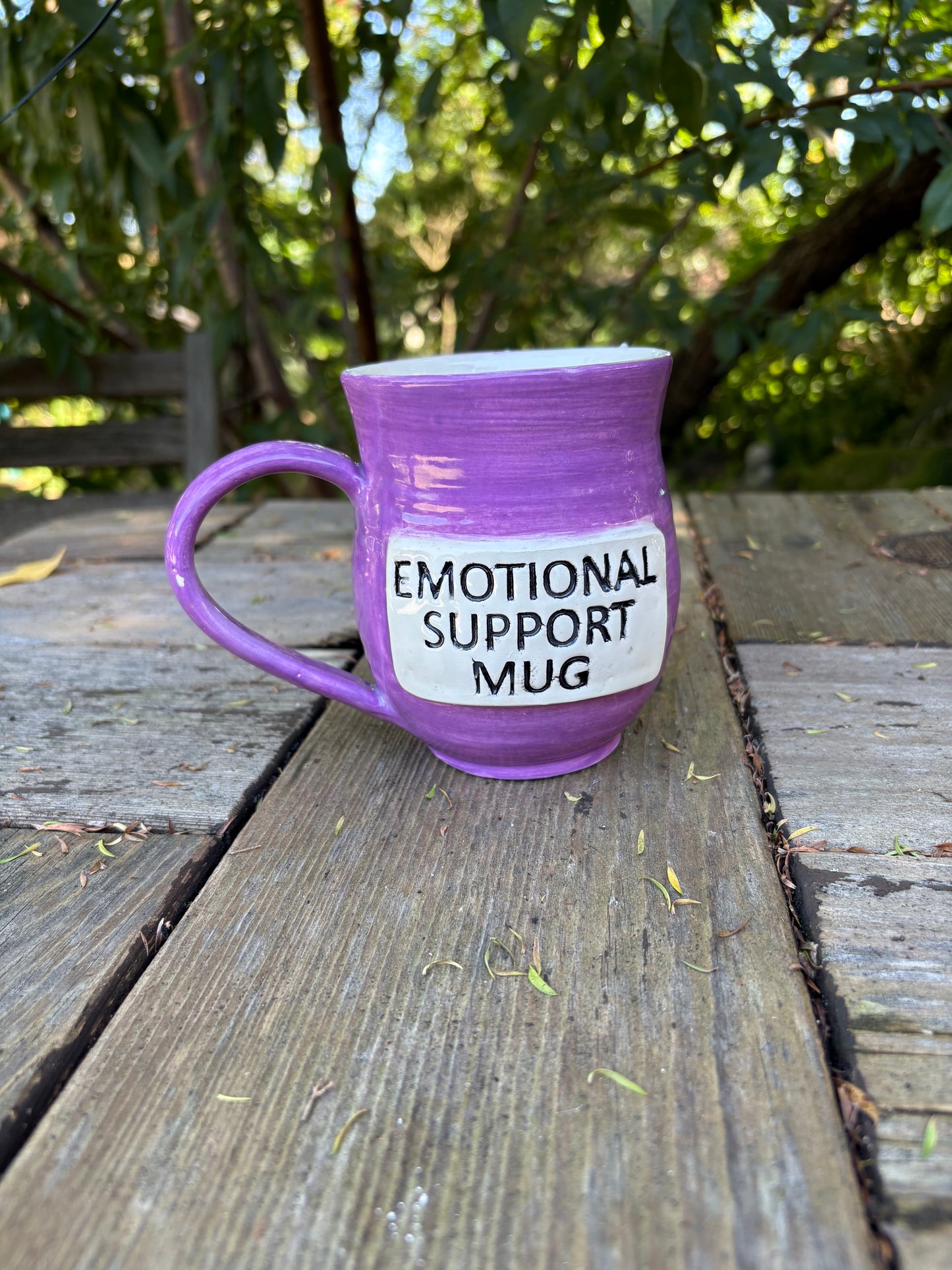 Emotional Support Mug