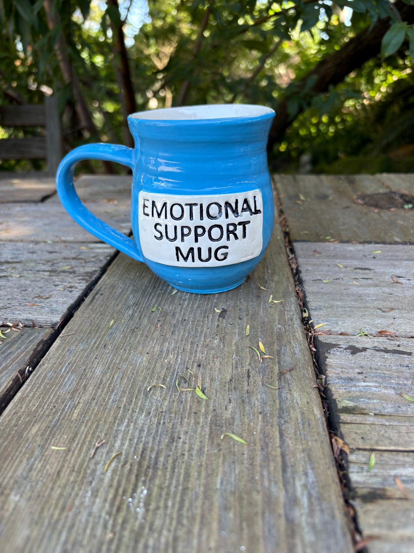 Emotional Support Mug